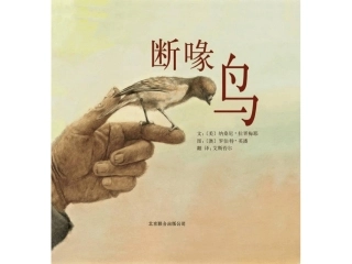 爱与关怀—断喙鸟