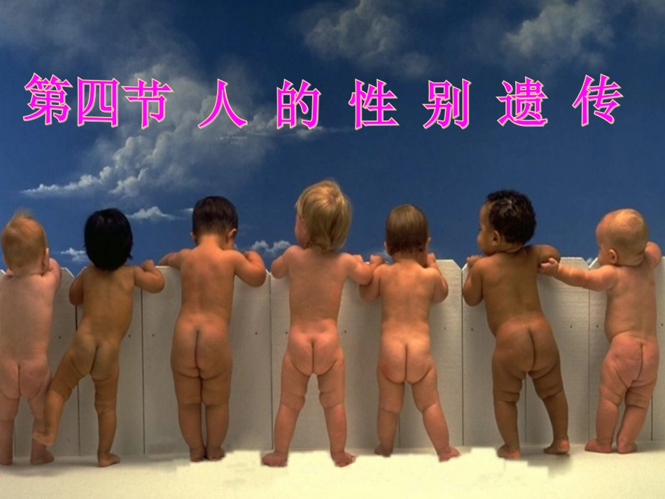 第四节人的性别遗传_第2页