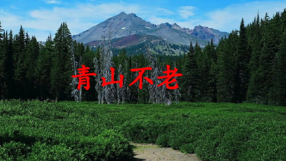 【同步课堂】《青山不老》教学课件_第1页