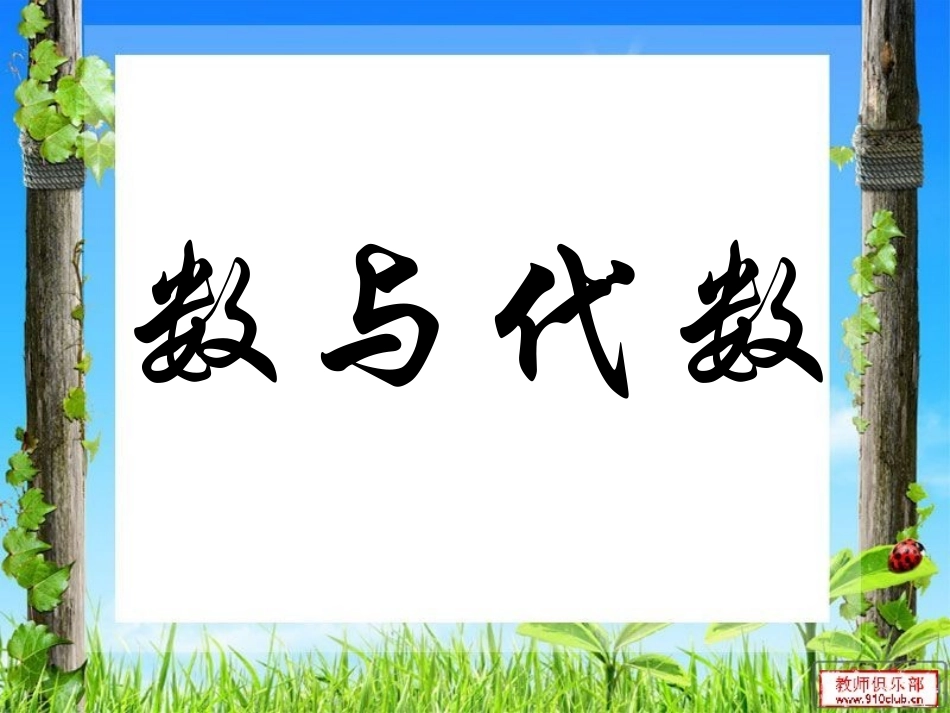 2015年春新人教版小学数学六年级下册第六单元整理复习数与代数-数的认识_第2页