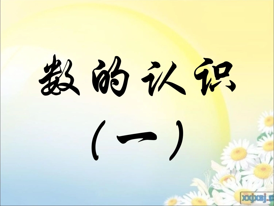 2015年春新人教版小学数学六年级下册第六单元整理复习数与代数-数的认识_第3页