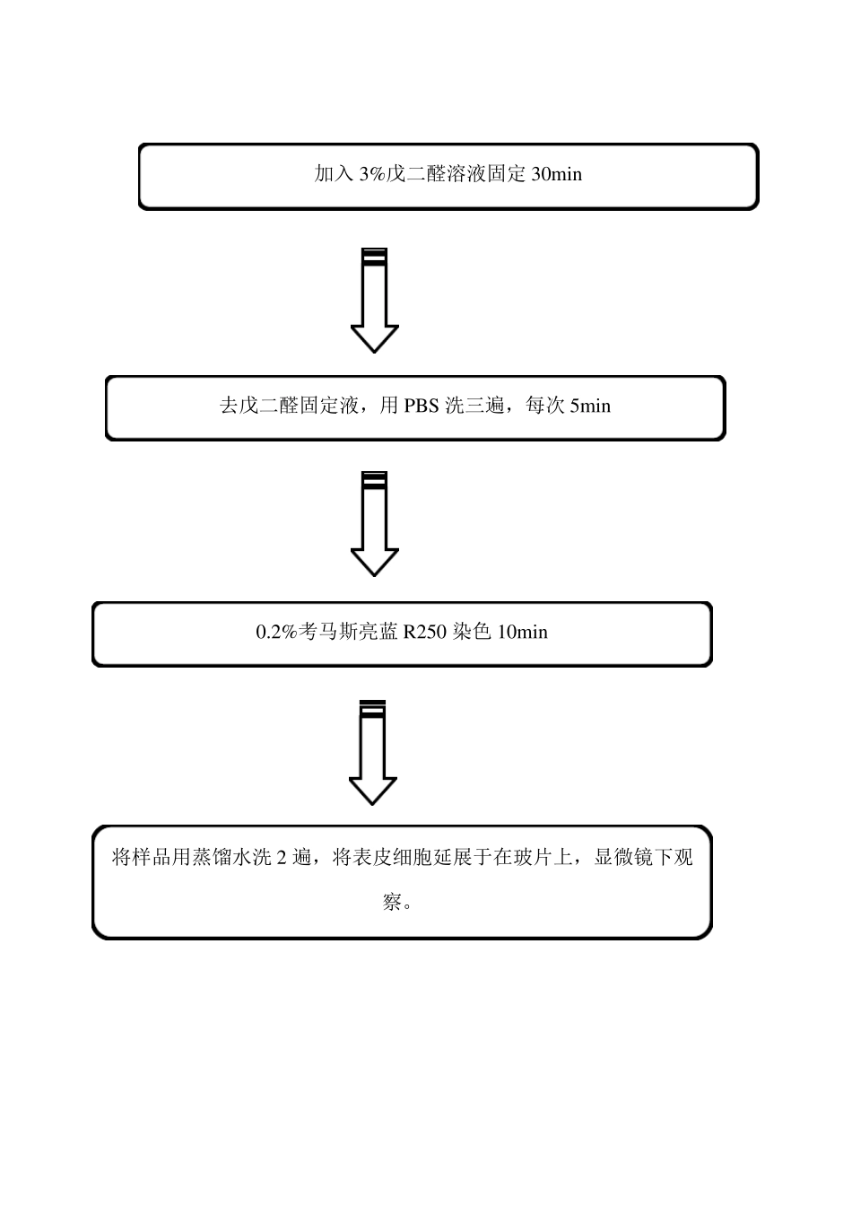 试验4植物细胞骨架的观察_第3页