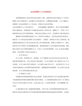 企业试用期个人工作总结范文