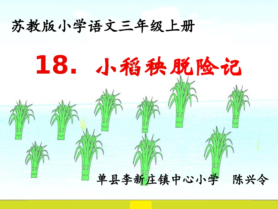 苏教版三年级语文《小稻秧脱险记》课件888_第3页