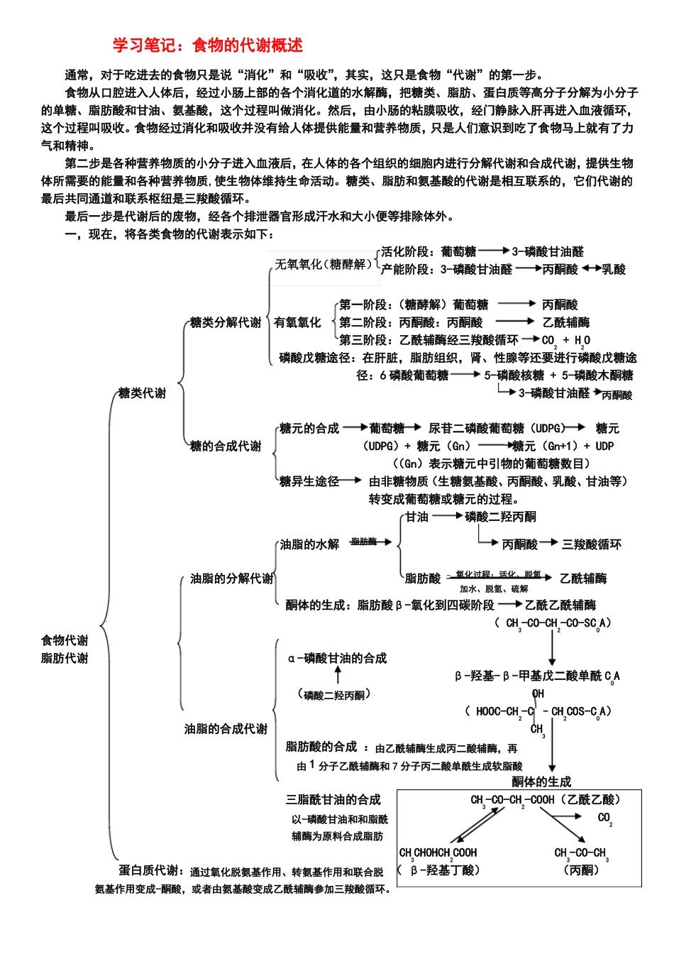 学习笔记食物代谢概述_第1页