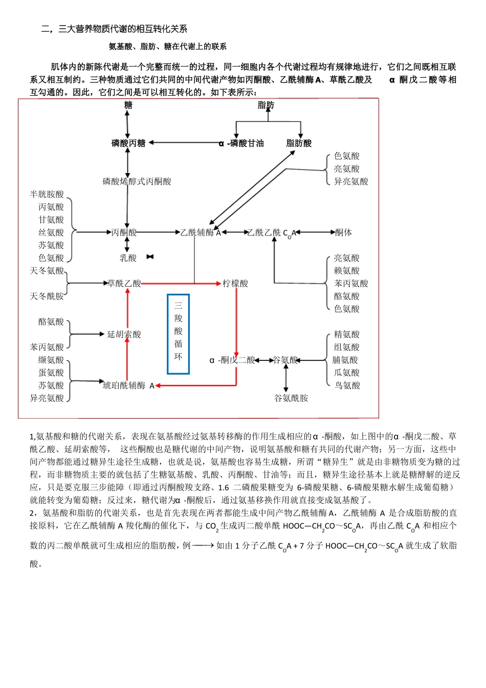 学习笔记食物代谢概述_第2页