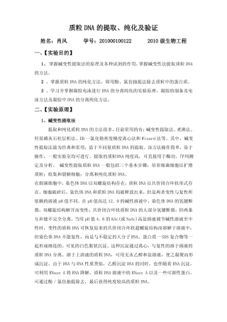 质粒DNA的提取纯化及验证