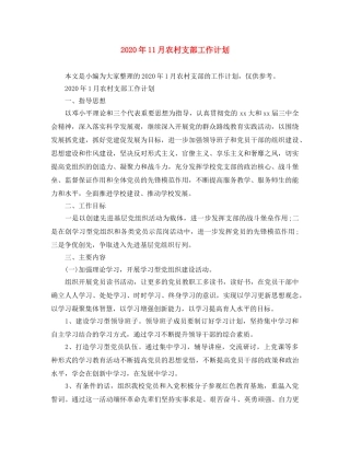 2020年11月农村支部工作计划 