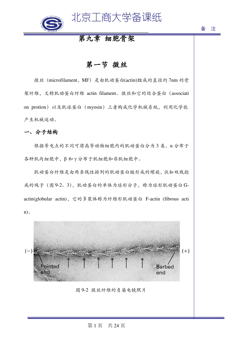 细胞生物学9细胞骨架_第1页