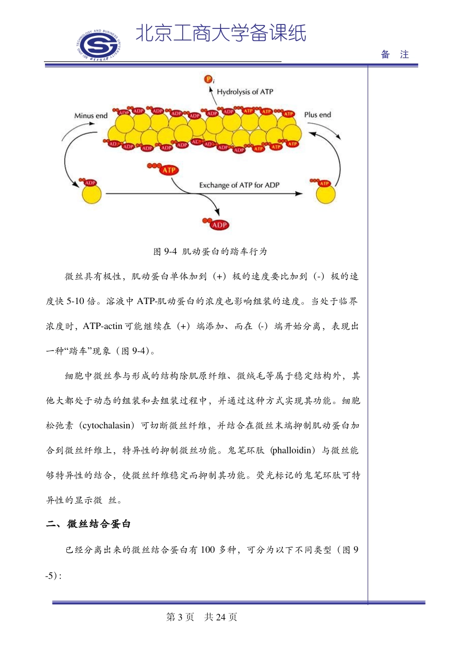 细胞生物学9细胞骨架_第3页
