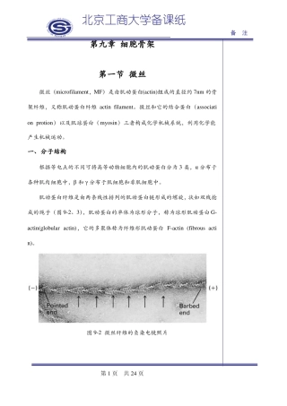 细胞生物学9细胞骨架