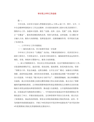 审计局上半年工作总结
