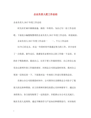 企业负责人度工作总结2