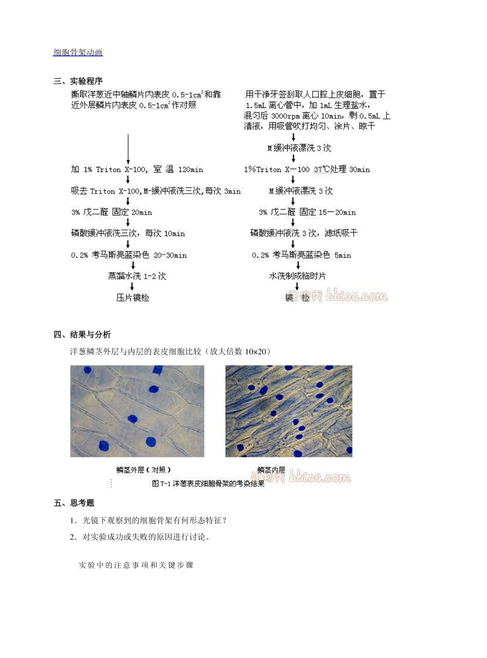 试验三细胞骨架的光学显微镜观察_第2页