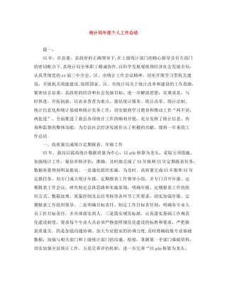 统计局年度个人工作总结