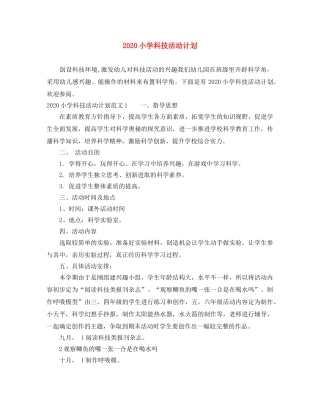 2020小学科技活动计划 
