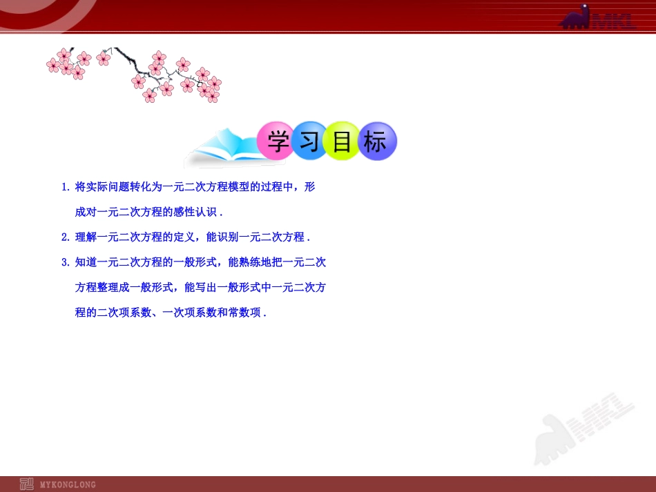 初中数学教学课件：211一元二次方程（人教版九年级上）_第2页