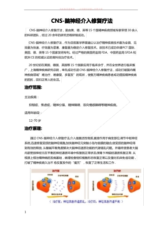 cns脑神经介入修复疗法