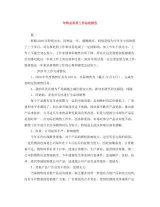 2020年终业务员工作总结报告