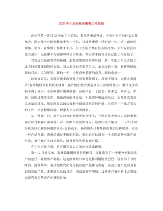 2020年6月业务员销售工作总结