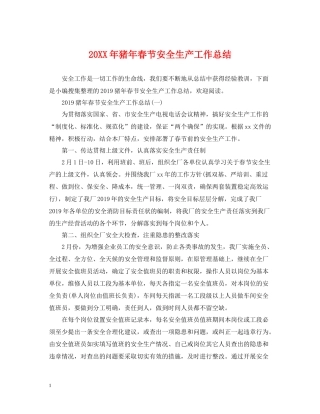 猪年春节安全生产工作总结2