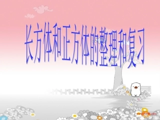 长方体正方体整理与复习