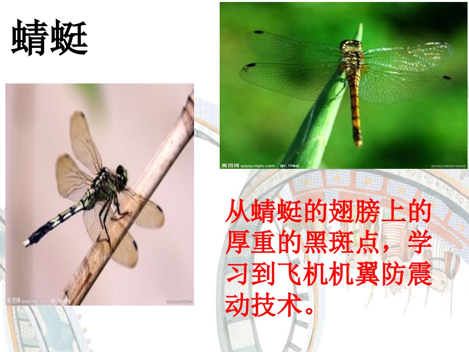 《人类的老师》课件_第3页