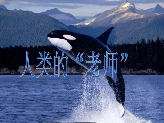 《人类的老师》课件