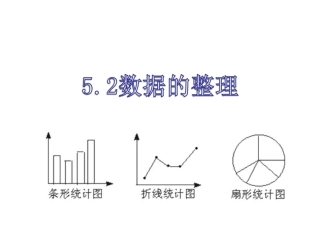 数据的整理(沪科版)