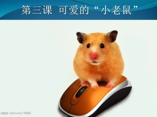 第三课可爱的小老鼠