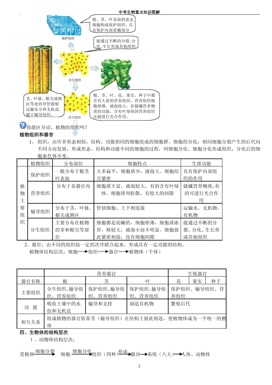 初中生物重点知识图解修改后_第2页