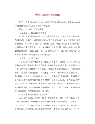 学校会计年工作总结模板