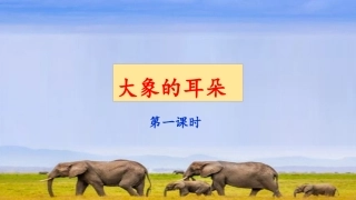《大象的耳朵》课件（第课时）