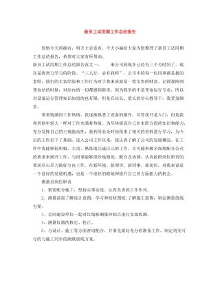 新员工试用期工作总结报告
