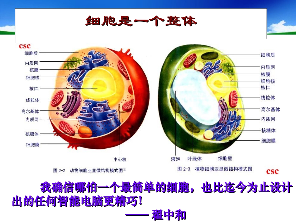 细胞膜--系统的边界_第2页