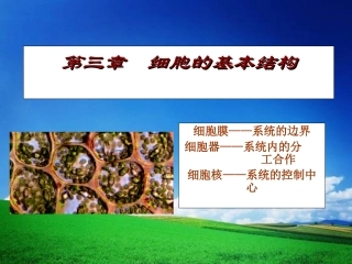 细胞膜--系统的边界