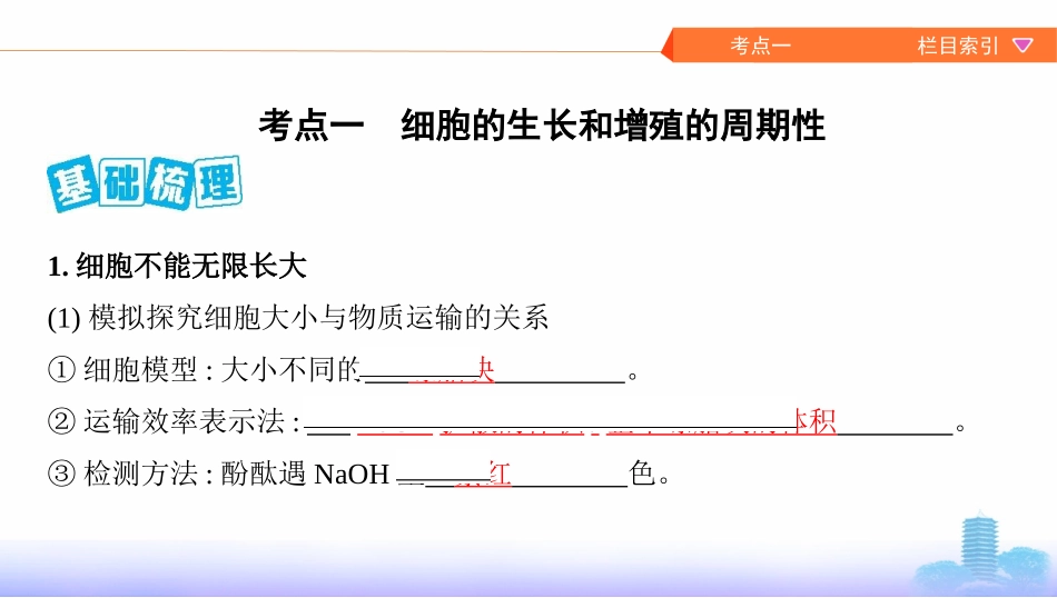 第10讲　细胞的增殖_第2页