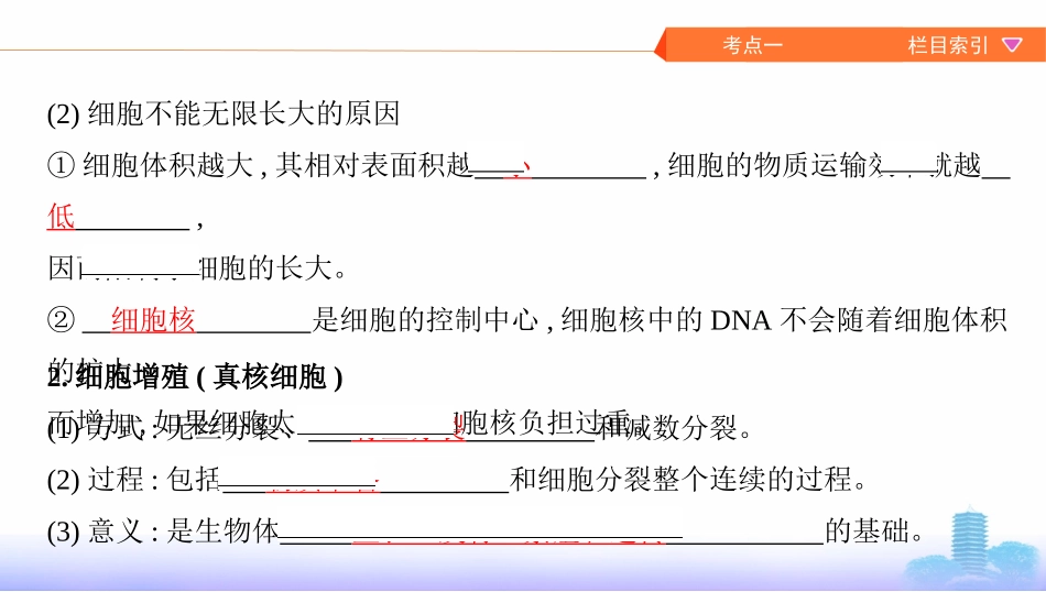 第10讲　细胞的增殖_第3页