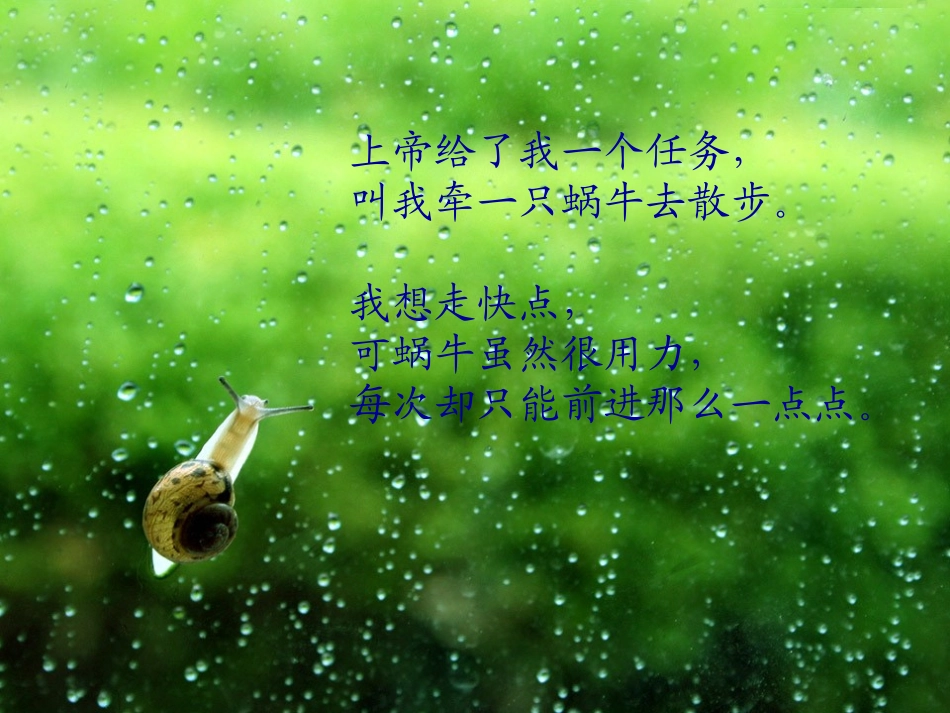 牵一只蜗牛去散步(精彩)_第2页