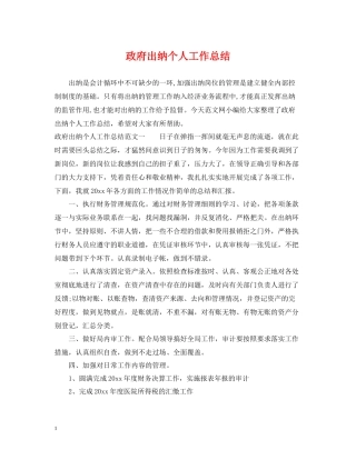 政府出纳个人工作总结