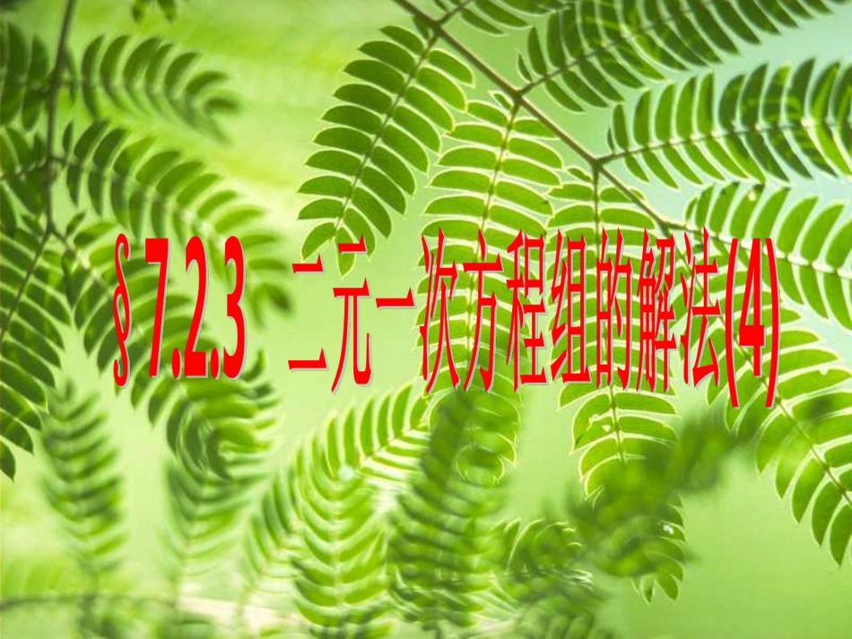 二元一次方程组的解法4_第1页