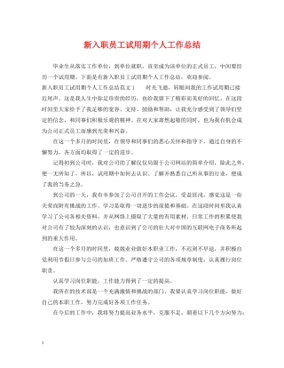 新入职员工试用期个人工作总结