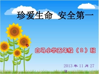 “珍爱生命_安全第一”小学校园安全教育课件