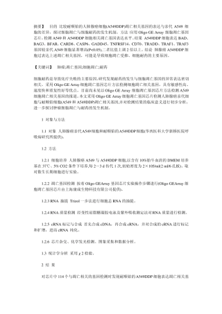 人肺癌A549细胞凋亡相关基因的表达及意义