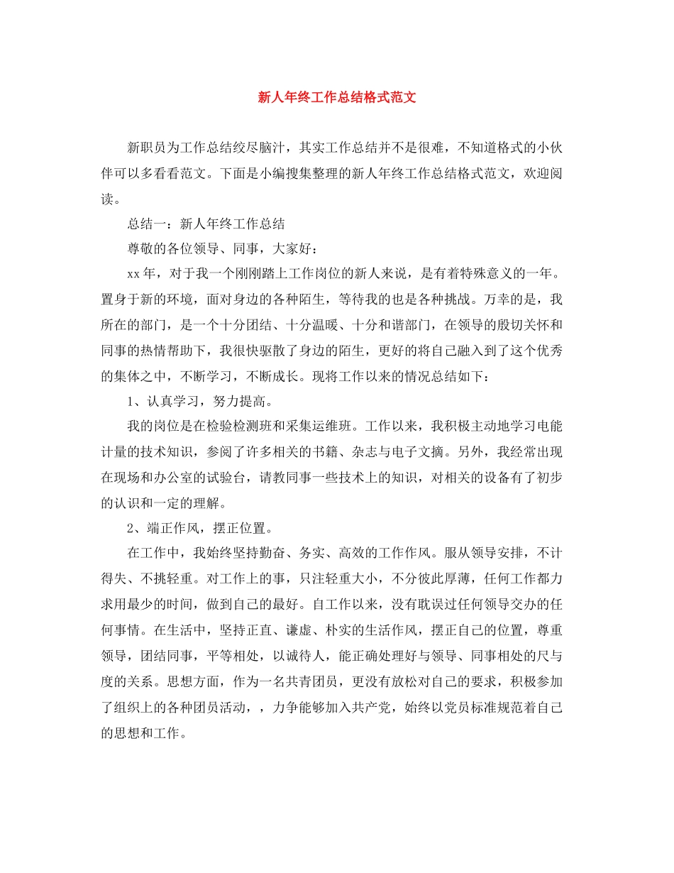 新人年终工作总结格式范文_第1页