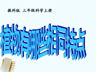 三年级科学上册_植物有哪些共同特点课件_教科版