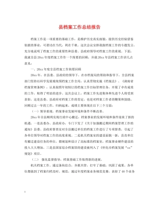 县档案工作总结报告