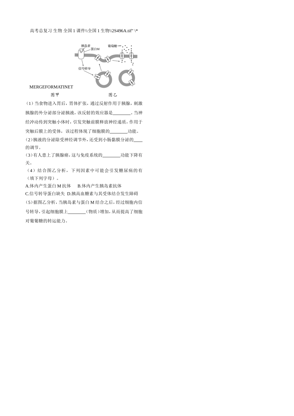 课时作业13：体液调节及与神经调节的关系_第3页