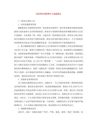 2020审计局年终个人总结范文 