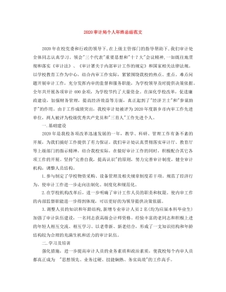 2020审计局个人年终总结范文 